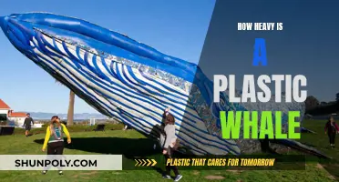 The Weighty Issue of Plastic Whales