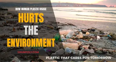 Plastic Pollution: Humans Harming the Environment