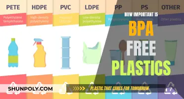The Importance of Choosing BPA-Free Plastics
