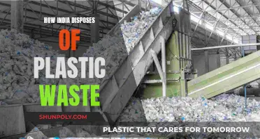 India's Plastic Waste Disposal: A Sustainable Future?