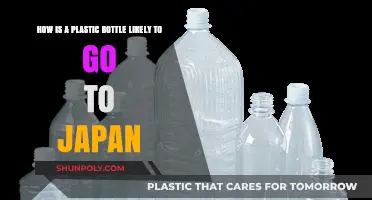 From Trash to Tokyo: A Plastic Bottle's Journey to Japan