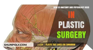 Anatomy and Physiology: Foundations of Precision in Plastic Surgery
