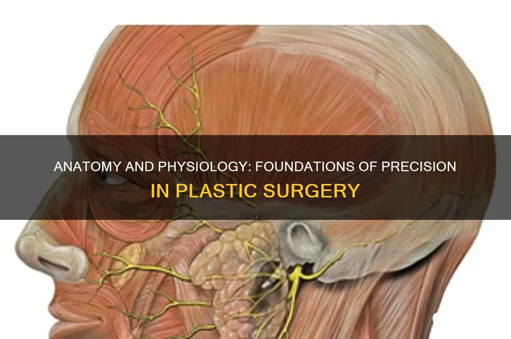how is anatomy and physiology used in plastic surgery