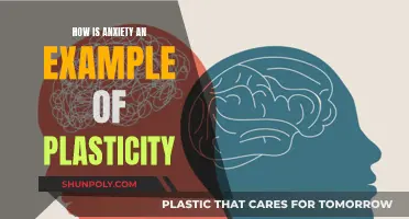Anxiety and the Brain's Plasticity
