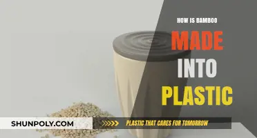 From Nature to Innovation: The Journey of Bamboo into Plastic