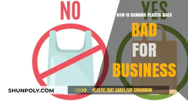 Plastic Bag Bans: Unintended Consequences for Businesses and Consumers