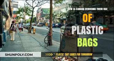 Canada's Green Shift: Cutting Plastic Bag Use Nationwide