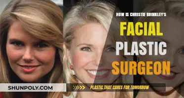 Christie Brinkley's Facial Plastic Surgeon: Secrets to Her Timeless Beauty