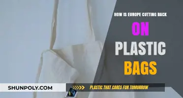 Europe's Plastic Bag Reduction: Strategies and Successes in Sustainability