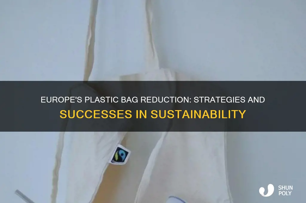 Europe's Plastic Bag Reduction: Strategies And Successes In