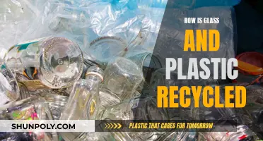 Recycling Glass and Plastic: Unveiling the Process and Benefits