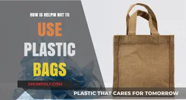 Eco-Friendly Alternatives: Ditch Plastic Bags for a Greener Tomorrow