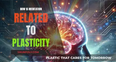 Meditation and Neuroplasticity: Rewiring Your Brain