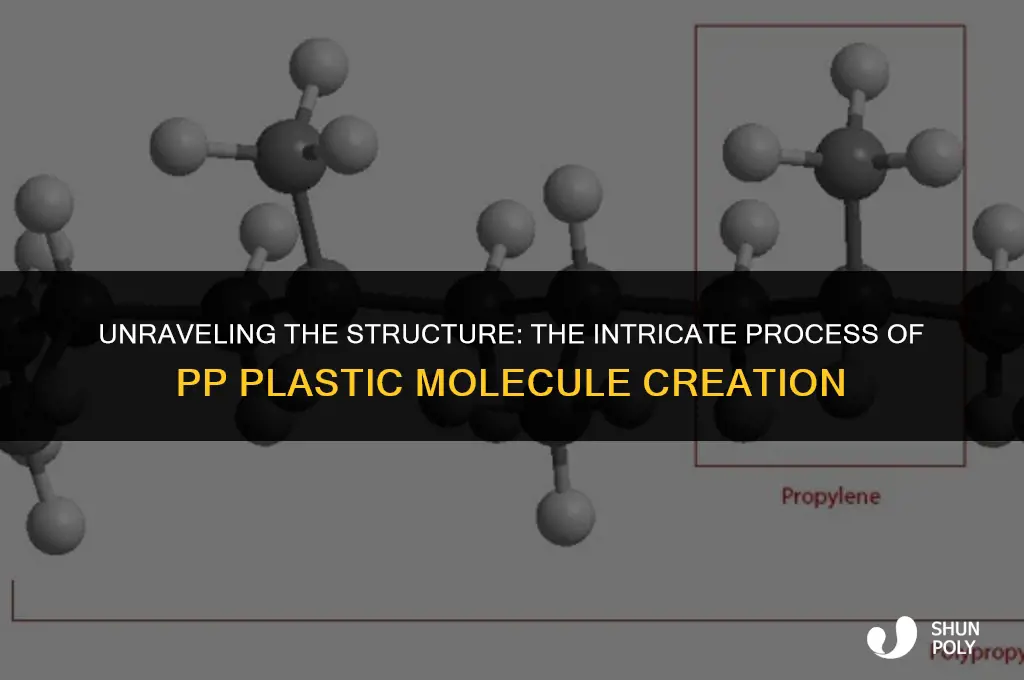 how is molecule of pp plastic made