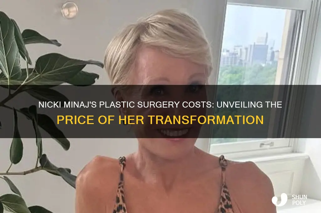 how is nicku minaj plastic surgery cost