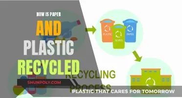 Unveiling the Secrets: Paper and Plastic Recycling Methods