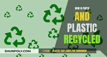 The Recycling Process: Paper and Plastic's Second Life