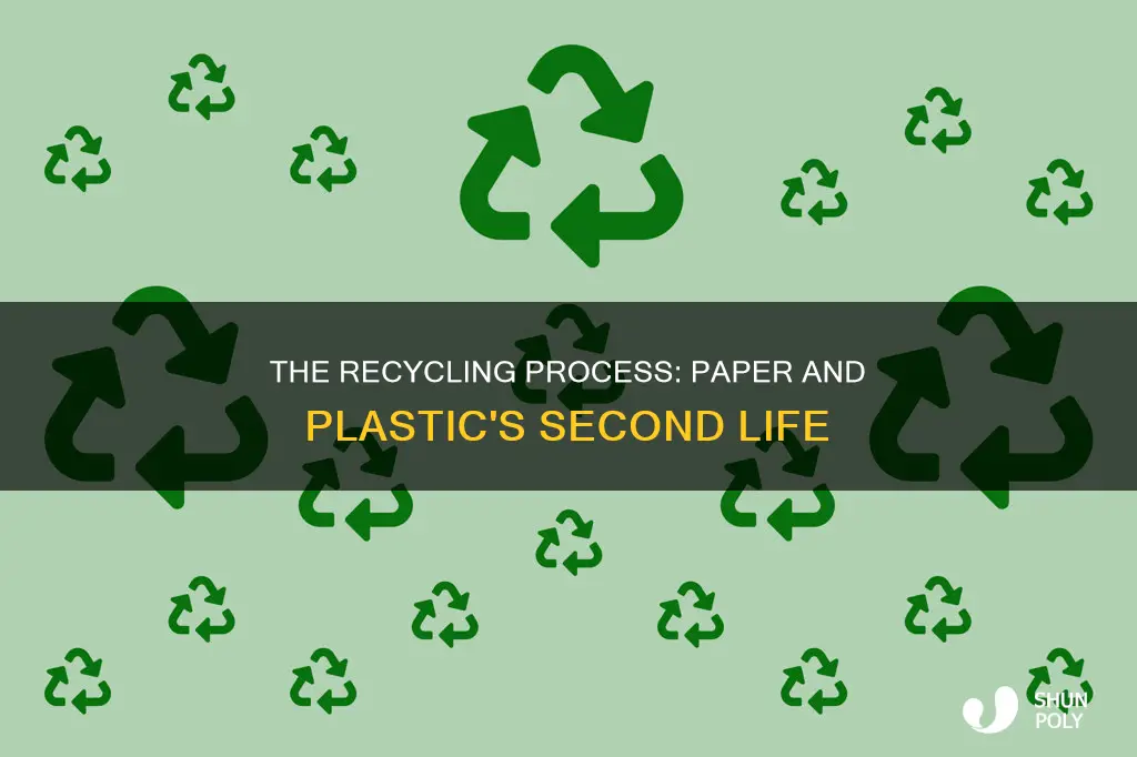 how is paper and plastic recycled