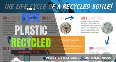 Pete Plastic's Journey: From Waste to New Life