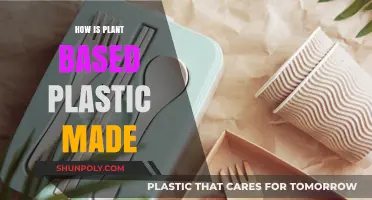 Eco-Friendly Alternatives: The Process of Making Plant-Based Plastics