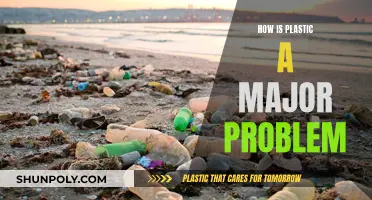 Plastic Pollution: A Global Crisis