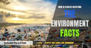 Plastic's Impact: Devastating Environmental Facts Revealed