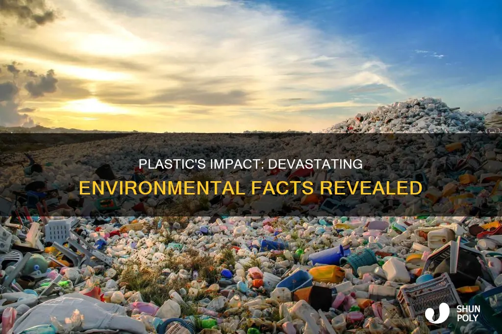 how is plastic affecting the environment facts