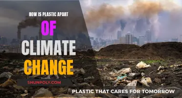 Plastic's Climate Impact: A Global Concern