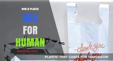 The Hidden Dangers of Plastic Bags on Human Health