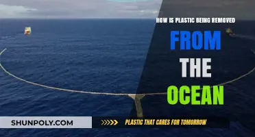 Innovative Solutions: Removing Plastic Pollution from Our Oceans