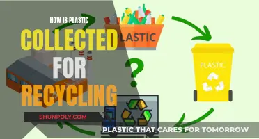 Unveiling the Journey: From Bin to Factory - Plastic Recycling Process