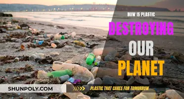 Plastic's Deadly Impact: Destroying Our Planet