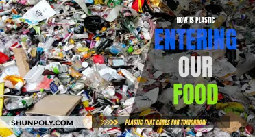 Plastic Pollution: Invading Our Food
