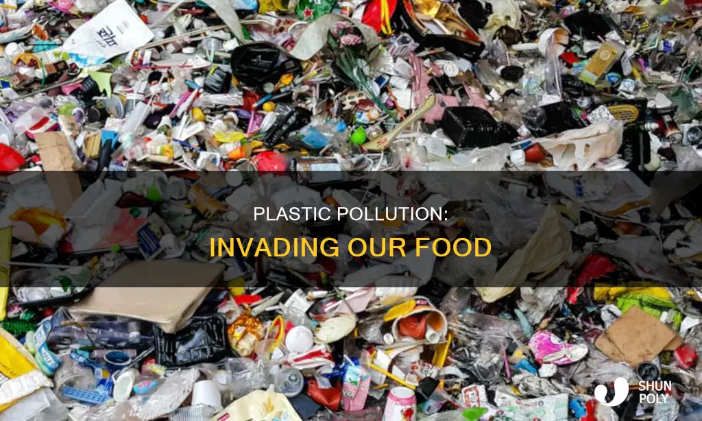 how is plastic entering our food