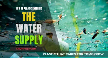 Plastic Pollution: Water Contamination Crisis