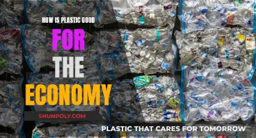 Plastic's Economic Benefits: A Complex Relationship