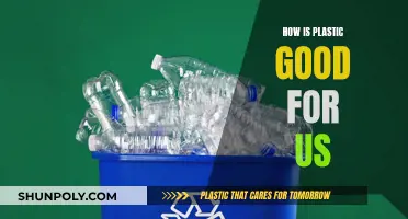 Plastic: A Necessary Evil?