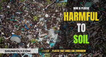 Plastic's Toxic Legacy in Soil