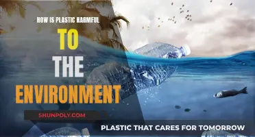 Plastic's Harmful Environmental Impact: Understanding the Danger