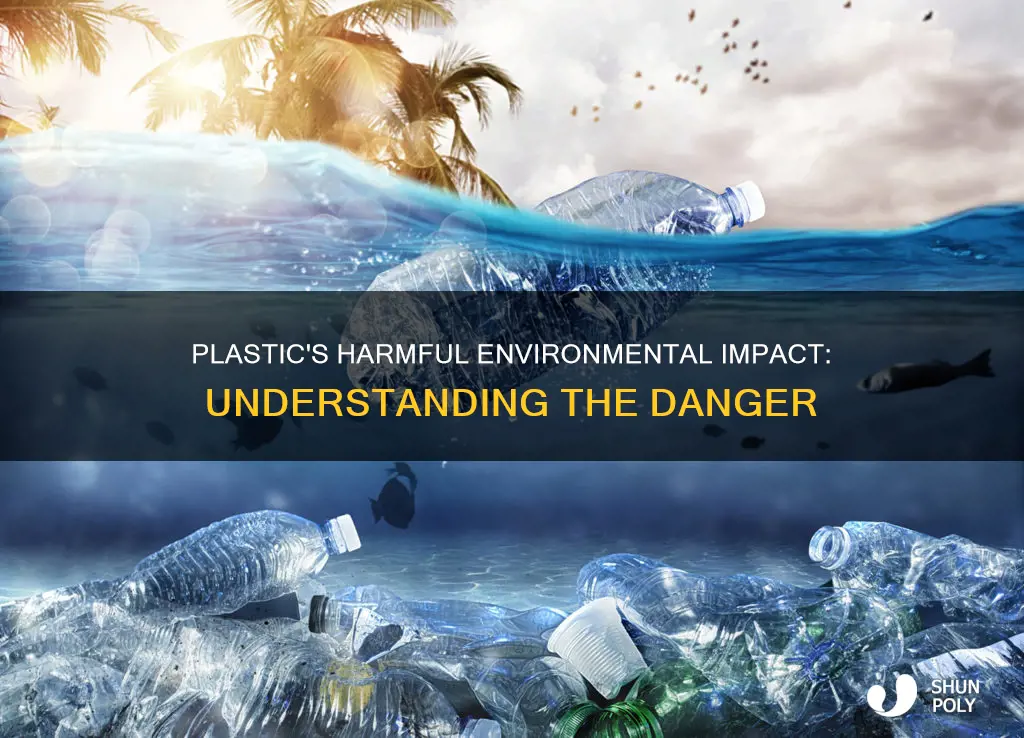 how is plastic harmful to the environment