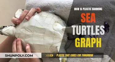 Plastic's Impact: Devastating Sea Turtle Graph