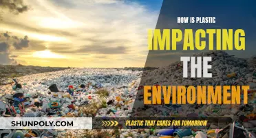 Plastic's Impact: Devastating Effects on Our Environment