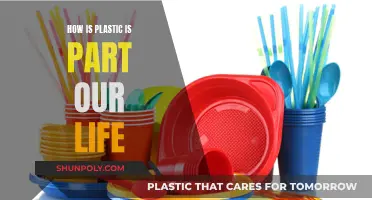 Plastic's Ubiquity: Our Daily Lives and Plastics