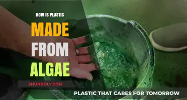 From Algae to Plastic: The Sustainable Revolution in Manufacturing