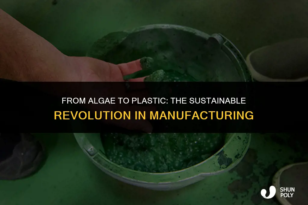 how is plastic made from algae