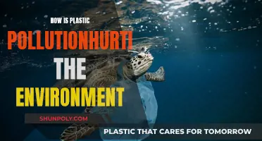 Plastic Pollution: Killing Our Planet and Health