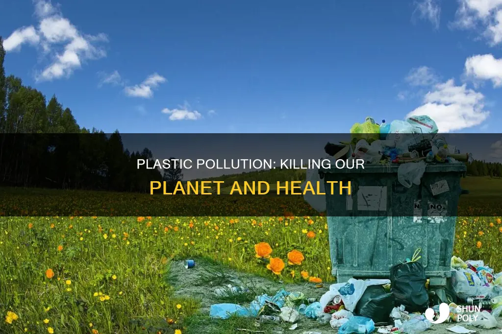 how is plastic pollutionhurting the environment
