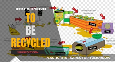 Unveiling the Magic: How Plastic Transforms into New Life