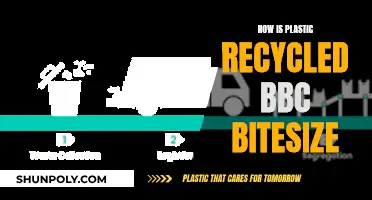 The Intricacies of Plastic Recycling for a Greener Tomorrow