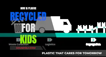 The Magic of Recycling: Turning Plastic into Treasure